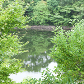 中登美ケ丘ギャラリー