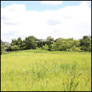 中登美ケ丘ギャラリー