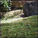 中登美ケ丘ギャラリー