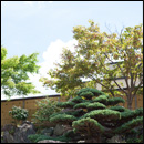 中登美ケ丘ギャラリー