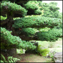 中登美ケ丘ギャラリー