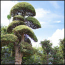 中登美ケ丘ギャラリー